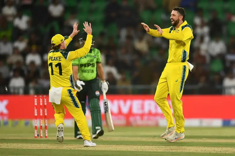Cricket players on the field during a match