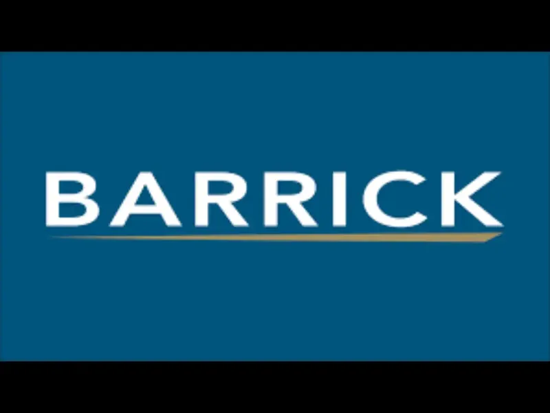 Barrick Mining executives Wessel Hamman and Tim Cribb