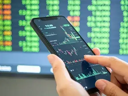 Vanguard Fund's portfolio performance in Indian equity market