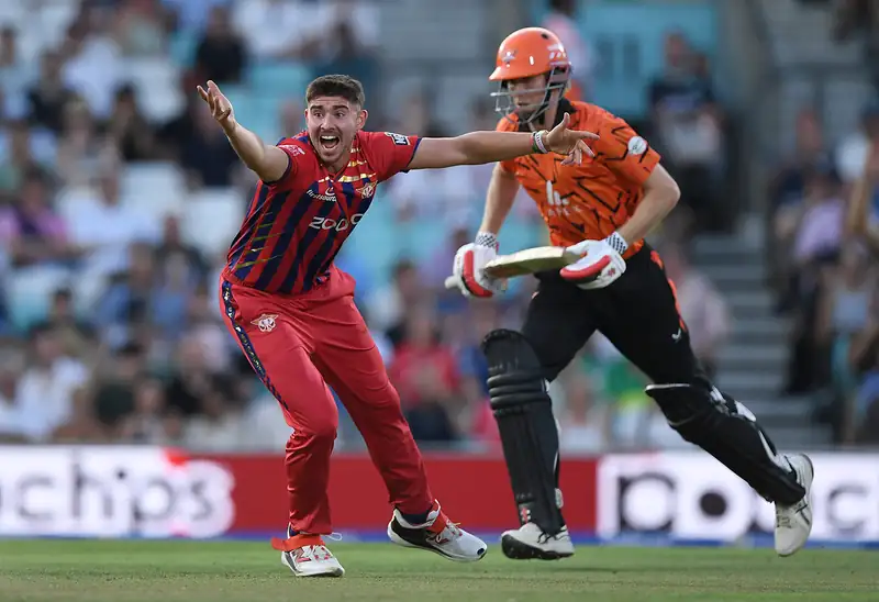 Cricket players in action during a match